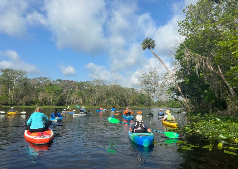 Kayaking in St. Johns River